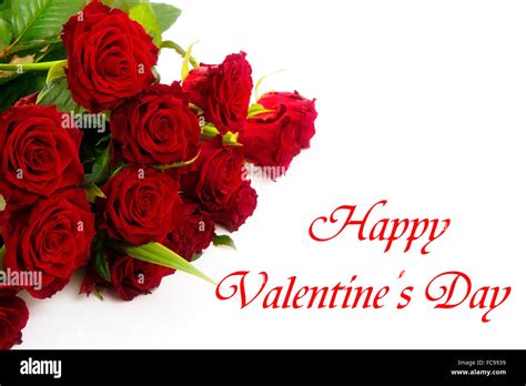 Happy Valentines Day Red Roses On A White Background Stock Photo Alamy