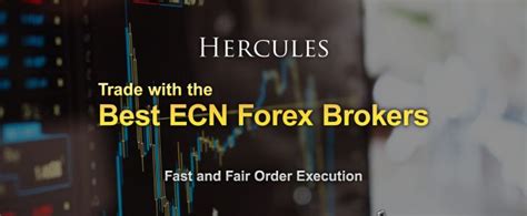 Trade With The 3 Best Stp And Ecn Forex Brokers Herculesfinance