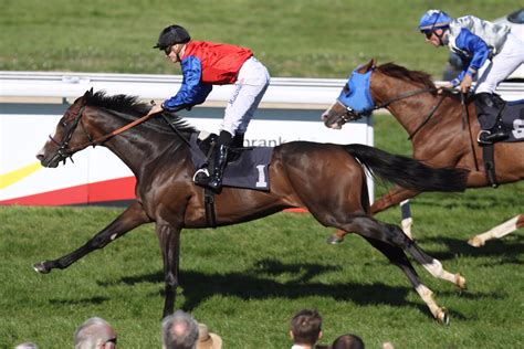 Jun 20, 2021 · die neue marke deutscher galopp (ehemals german racing) bildet die große dachmarke, unter der spannende pferderennen und stimmungsvolle veranstaltungen auf den deutschen rennbahnen stattfinden. Das Super-Duell der besten deutschen Galopper - Deutscher ...