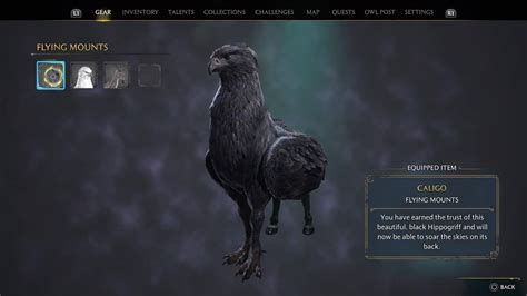 Hogwarts Legacy How To Get Hippogriff And Other Mounts