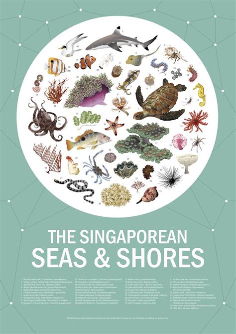 Celebrating Singapore Shores Now Available The Singaporean Seas And