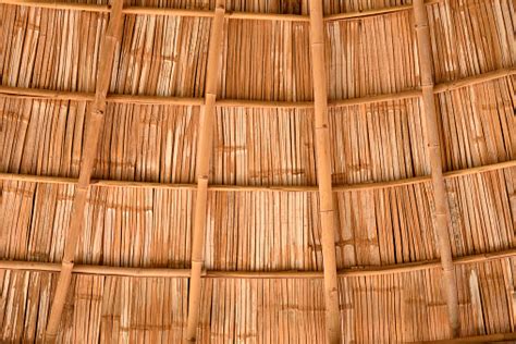 Close Up Of Bamboo Shingle Roof Stock Photo Download Image Now