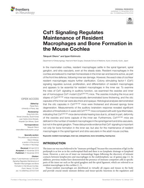 Pdf Csf1 Signaling Regulates Maintenance Of Resident Macrophages And