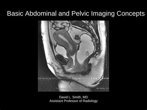 Pdf Basic Abdominal And Pelvic Imaging Concepts Abdominal · Basic
