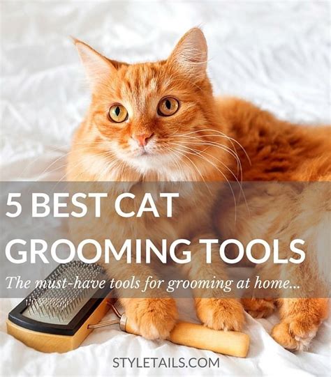 Of The Best Cat Grooming Tools Cat Grooming Tools Cat Grooming Cat Care