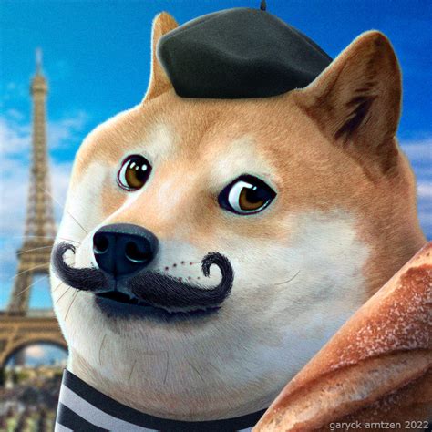 Paris Doge By Garyckarntzen On Deviantart