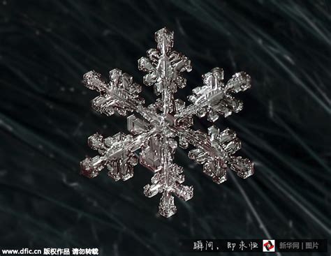 Fotos Asombrosas De Copos De Nieve Bajo El Microscopiospanishchina