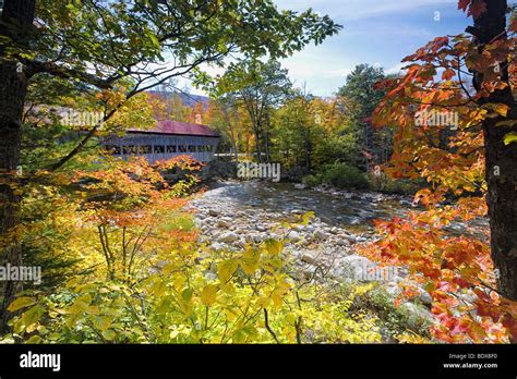 View Of A Covered Bridge Through Colorful Fall Foliage Albany Bridge