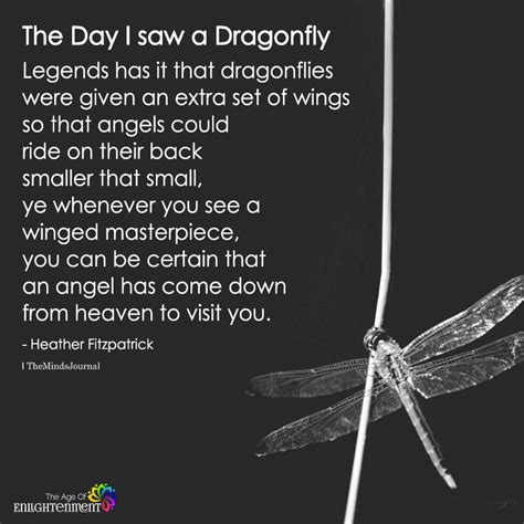 The Day I Saw A Dragonfly Dragonfly Quotes Dragonfly Life Quotes