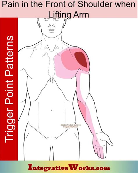 Pain In The Front Of Shoulder When Lifting Arm Integrative Works