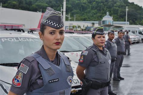 Lei Da Assembleia Legislativa De São Paulo Patrulha Maria Da Penha Já