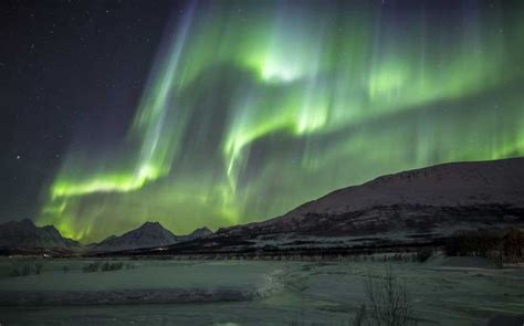 From Tromsø Northern Lights Tour Getyourguide