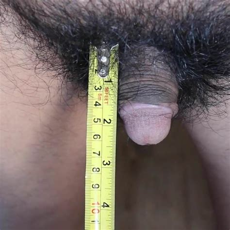Short Penis Jason Measuring His Flaccid Penis Gay XHamster