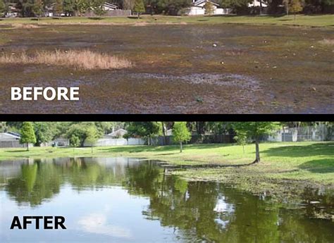 Of course pond muck makes good topsoil. Muck & Sludge reduction VitaStim MD Pellets - Clarifies ...