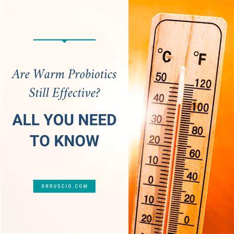 Are Warm Probiotics Still Effective All You Need To Know Dr Michael Ruscio Dc