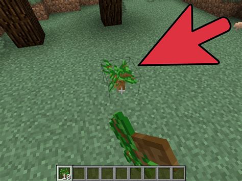 No matter where i put it. How to Plant Trees in Minecraft: 9 Steps (with Pictures ...