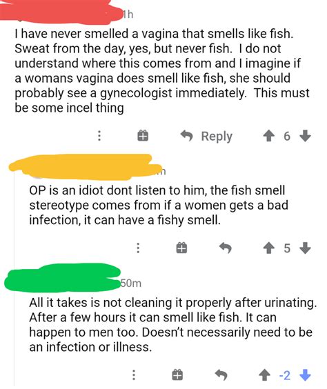 Pee Makes Your Vagina Smell Like Fish Yep Pee Rbadwomensanatomy