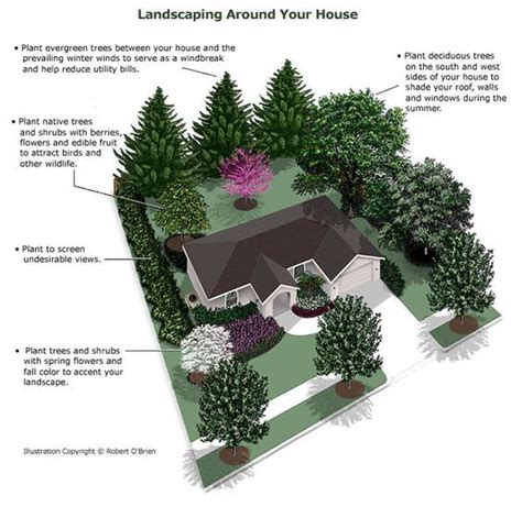 Landscaping Around House Landscaping Trees Privacy Landscaping Front
