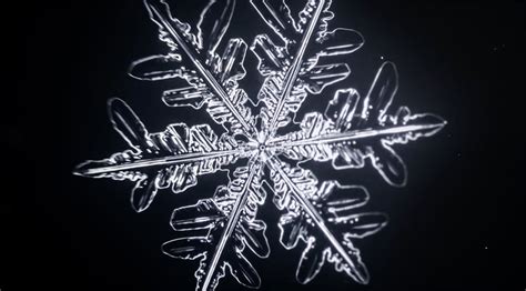 Watch Snowflakes Form In Time Lapse Through A Microscope The Kid