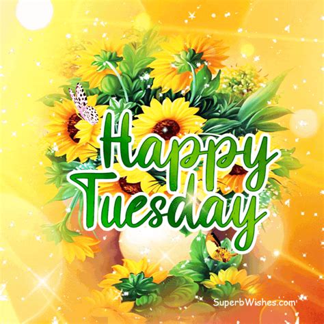 Happy Tuesday GIFs Stay Positive SuperbWishes