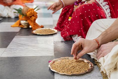 Hindu Bride And Groom Held Grain In Their Hands Participating In The