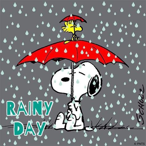 Rainy Day Blues Under A Red Umbrella Charlie Brown Cartoons Snoopy