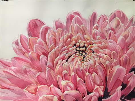 Chrysanthemum On 30”x22” 300g Arches Hp Rwatercolor