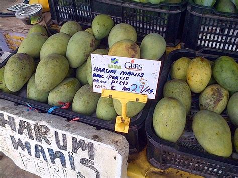Alasan mengapa buah mangga dijuluki mangga alpukat selain cara makannya adalah serat buah yang sangat halus, teksturnya lembut dan rasanya manis. Pelam Harum Manis hanya di Perlis