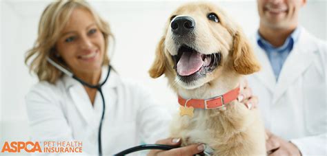Pet insurance pays, partly or in total, for veterinary treatment of the insured person's ill or injured pet. ASPCA® Pet Health Insurance | ASPCA