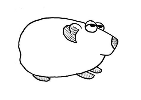 Are there coloring pages with guinea pigs on them? Pin on Guinea Pig Coloring Pages