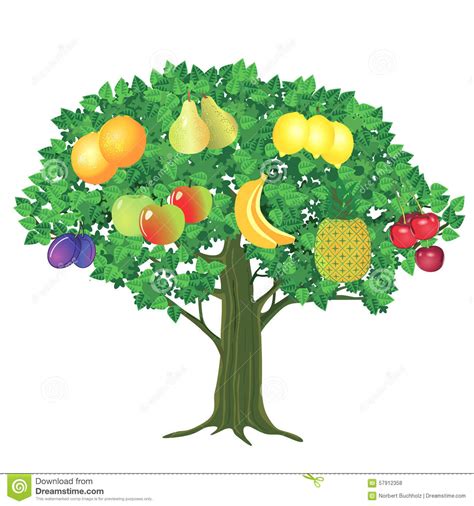 Fruit Growing Clipart 20 Free Cliparts Download Images On Clipground 2023
