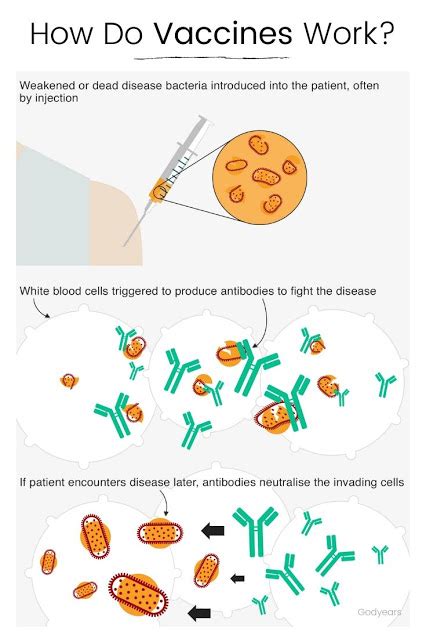 How do Vaccines Work - Godyears