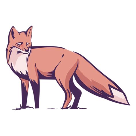 Red Fox Png Isolated Hd Png Mart