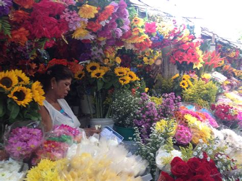 Send flowers to cartagena colombia. Flower stall Cartagena | Cartagena, Colombia, Bella