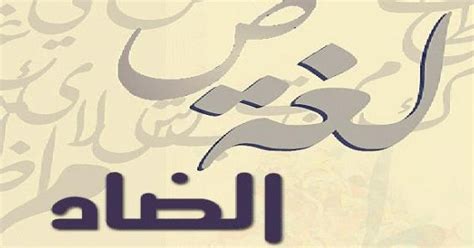 ذَنْبُ الْعَبْدِ يُسَوِّدُ قَلْبَهُ kulun günahı kalbini karartır gibidir. المتممات المجرورة