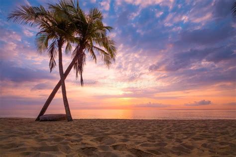 Seascape Of Beautiful Tropical Beach With Palm Tree At Sunrise Stock