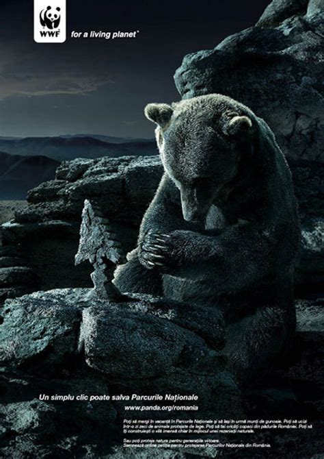 World Wildlife Fund - World Wildlife Fund Photo (430073) - Fanpop