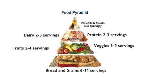 The Food Pyramid The Secret To Eating Healthy And Losing