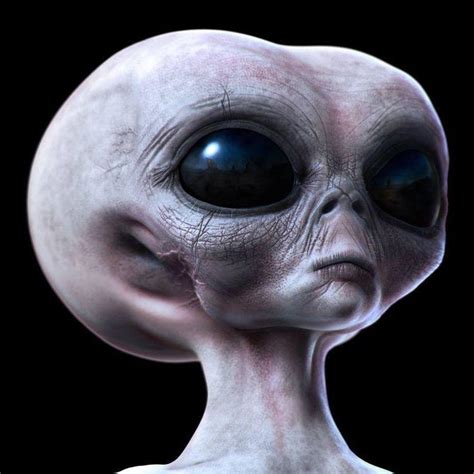 What if Alien Greys are humanoid because they were made to look like us ...