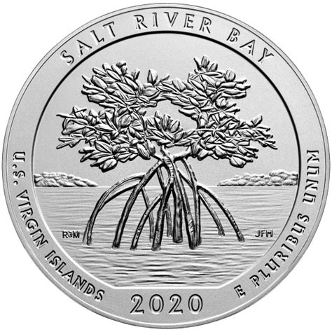 Philharmonic 1 Oz Silver Coin