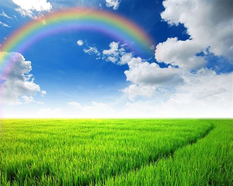 Nature Rainbow Sky Fields Scenery Grass Clouds Hd Wallpaper Pxfuel