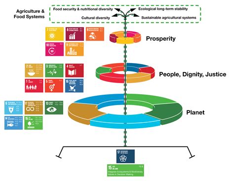 The united nations sustainable development goals (sdgs) are 17 goals with 169 targets that all 191 un member states have agreed to try to achieve by the year 2030. SDG targets related to food systems - TEEB