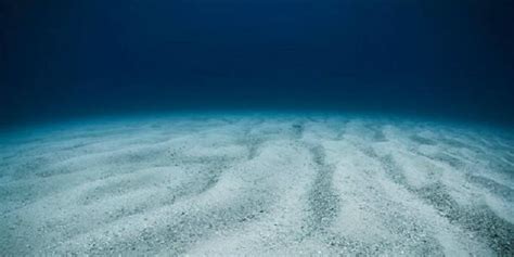 7 Laut Terdalam Di Dunia Gelap Misterius Dan Mengerikan