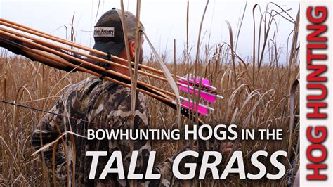 Traditional Bow Hunting Hogs Marsh Madness Pt 1 Youtube