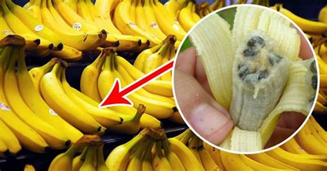 Global Supply Of Bananas At Risk After The Spread Of This Deadly Virus