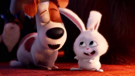 The Secret Life Of Pets Best Scenes With Max And Duke Cute Bunny