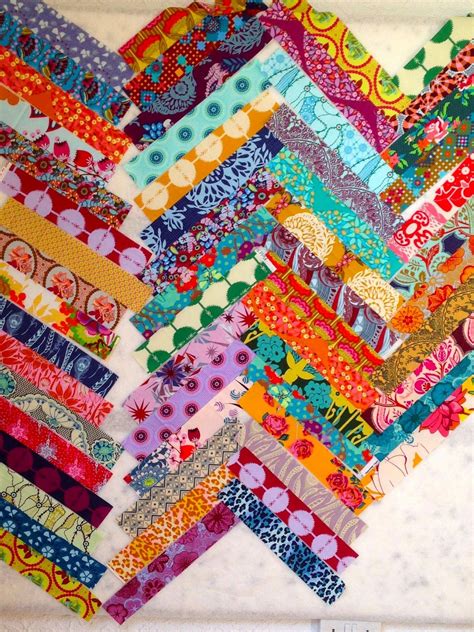 Issabella The Cat 2 Big Anna Maria Horner Quilt Finishes Quilts