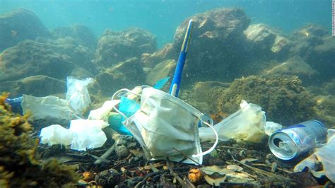 Plastic Pollution Covid Waste May Result In More Masks Than Jellyfish