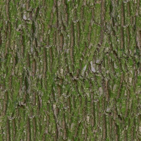 Forest Floor Texture Seamless Two Birds Home