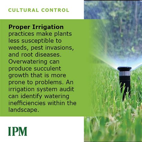About the time humans started aggregating into villages and began planting selected food crops in clusters near rivers in fertile. IPM Info Graphics | Integrated Pest Management | Wyoming